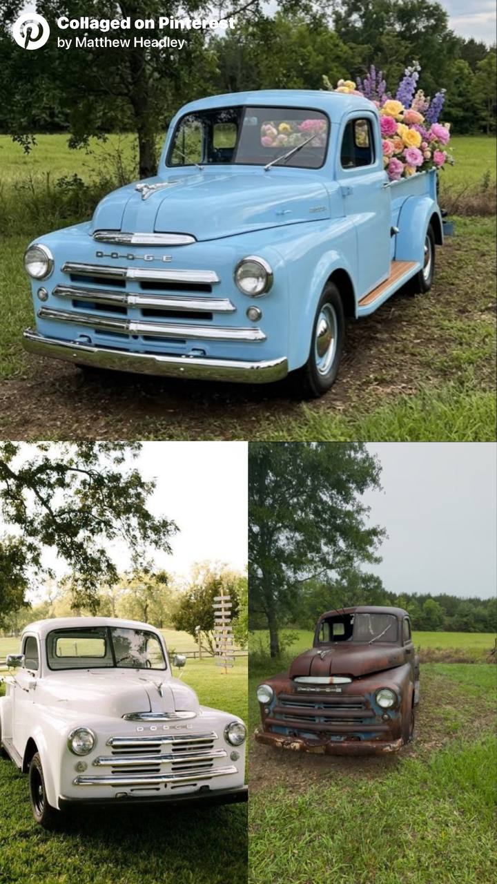 The Petal Truck vision